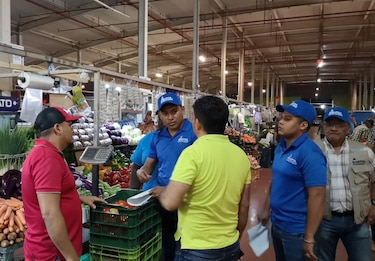 Aupsa verifica cebollas importadas en la Cadena de Frío