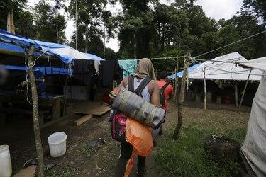 Panamá plantea a Colombia medir daño ambiental en el tapón del Darién