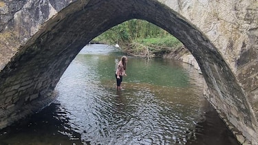 El sorprendente hallazgo de un ajolote mexicano que realizó una niña bajo un puente en Reino Unido