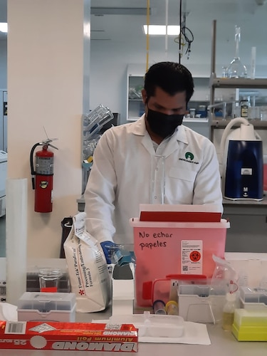 Estudio identifica siete nuevos perfiles genéticos de ‘Klebsiella’ en Panamá