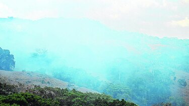 Entidades se preparan para la temporada de incendios