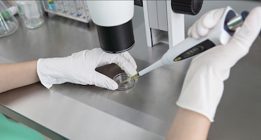 Costa Rica: CIDH habilita fertilización in vitro