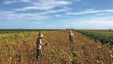 Agricultores de EU temen escalada arancelaria