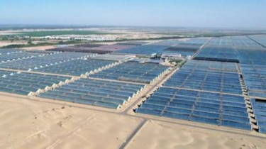 China empieza a cultivar arroz en el desierto