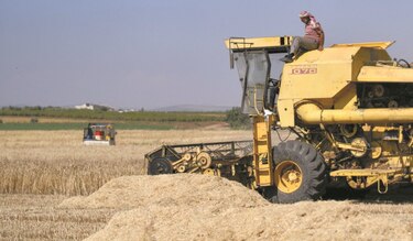 FAO: los más vulnerables pagarán por alza de precios