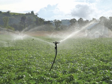 Agua: perspectiva de vida y uso agropecuario