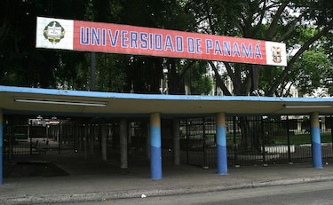 Polémica por matanza de gatos en la Universidad de Panamá