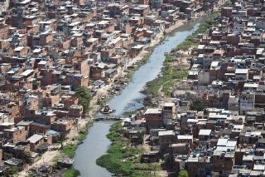 Suman 573 muertes por dengue en Brasil