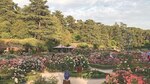 Madrid y su oasis entre rosas