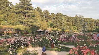 Madrid y su oasis entre rosas