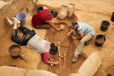 Un cementerio de Israel desvela los secretos del pueblo al que perteneció Goliat