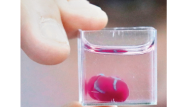 Un corazón impreso en 3D a partir de tejidos humanos