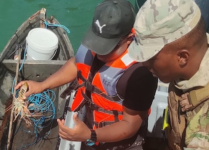 Denuncian ‘crimen ambiental’ en Río Mar: arrojan millones de huevos de langosta en la playa