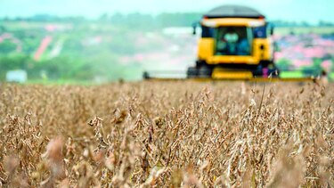 China aumenta compra de soja