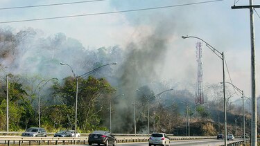 Aumentan incendios forestales
