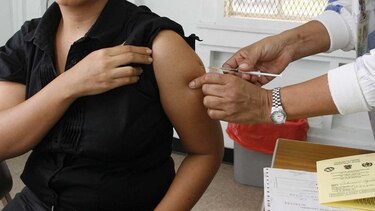 Vacuna de fiebre amarilla para peregrinos de Brasil y África