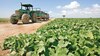 México desarrolla plataforma  digital para productores locales 