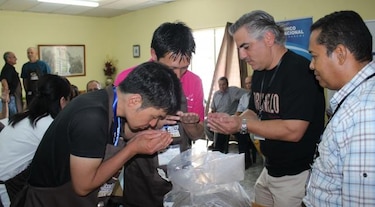 Subasta electrónica empieza este martes con 50 lotes de café especial