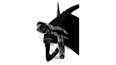 Frialdad por fallo de Corte