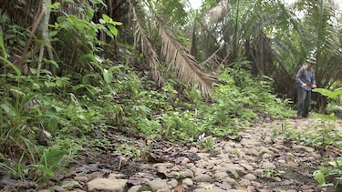 Ruta transístmica, del paso de mulas a los neopanamax