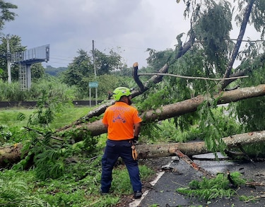 Extienden aviso de vigilancia por tormentas; Sinaproc reporta caída de árboles y desprendimiento de techos