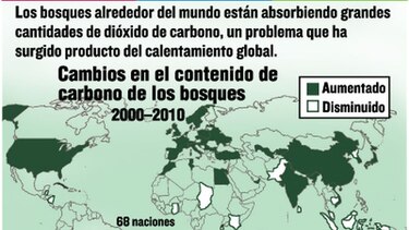 La caída de los árboles