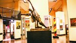 El Museo Histórico Alemán