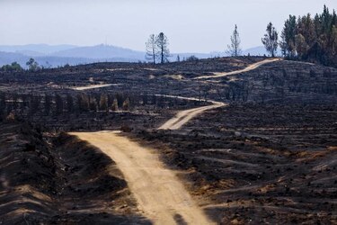 Incendios en Chile están 'mayoritariamente controlados', declaró la presidenta Michelle Bachelet