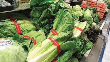 Panamá restringe importación de lechuga de EU