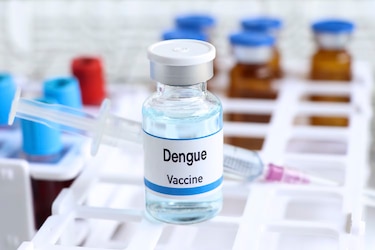 La OMS aprueba una nueva vacuna contra el dengue, que amenaza cada vez más América Latina
