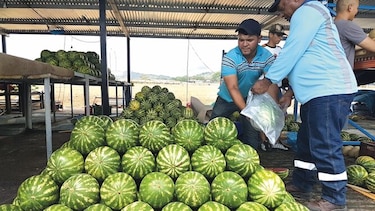 Alza de precios reduce competitividad