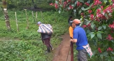 Morir camino a la escuela: 17 mil niños en riesgo y la promesa de 100 puentes zarzos