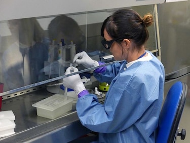 Científicos anuncian que vacunas contra el zika ya funcionan en animales