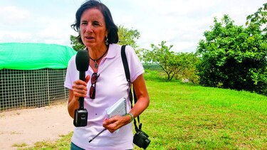 Salud Hernández, en paradero desconocido