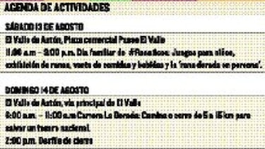 Por el rescate de la rana dorada