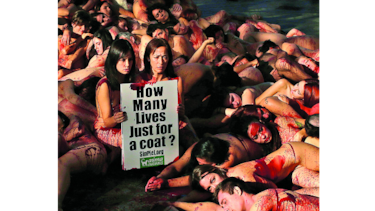 Decena de activistas protestan desnudos