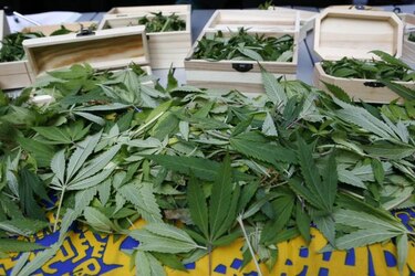 La capital de Estados Unidos da un paso al frente y legaliza la marihuana