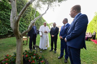 El papa Francisco reclama un alto el fuego en Gaza y pide trabajar por una ‘paz duradera’