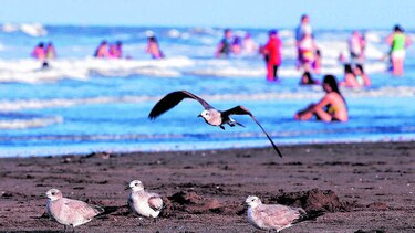 Coclé y Chiriquí, los destinos de fiestas patrias