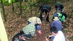 Esperanza para salvar al jaguar en Panamá