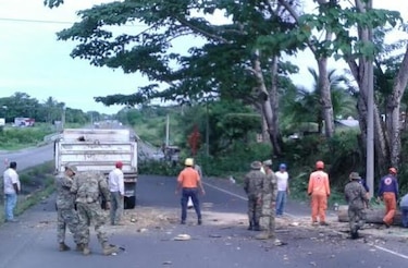 En Bugaba podan árboles a orillas de la Interamericana ante inicio de las lluvias