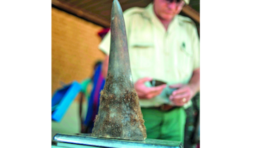 Polémica por subasta de cuernos