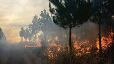 El clima extremo provoca desastres en Chile