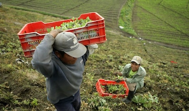 Enfrentamiento por proyecto que restringe importación de alimentos