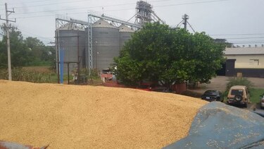 Protestan por acelerada importación de arroz