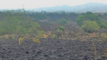 10 mil hectáreas han sido afectadas por quemas en Darién
