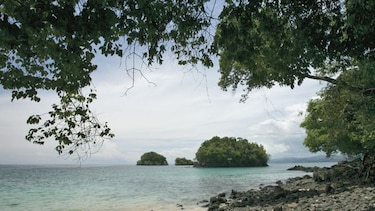 CIAM demanda acuerdo sobre Coiba