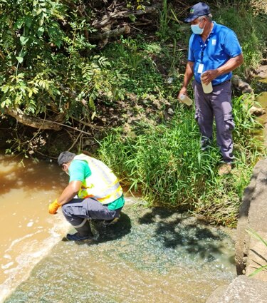 Investigan derrame de vinaza en quebrada la Cabuya de Pesé