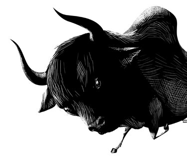 Los toros y el Perú