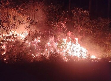 Incendio consume la reserva forestal La Yeguada: fiscalía abre investigación